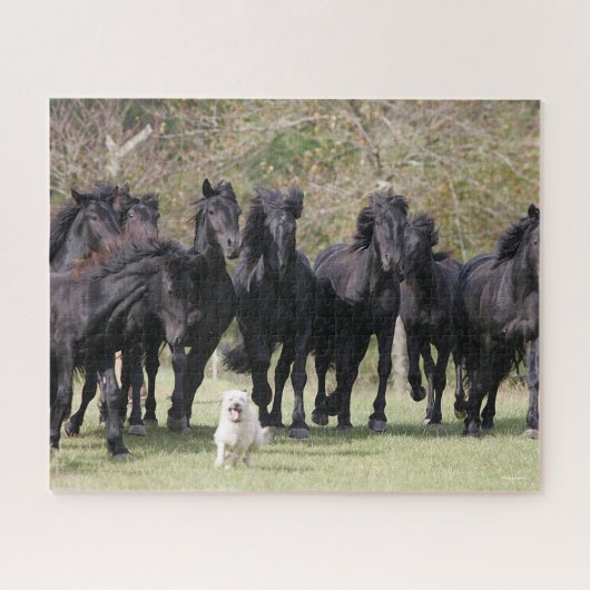 Puzzle Bob Langrish | Herd Black Meren Cheval et Chien (Horizontal)