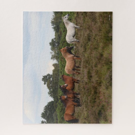 Puzzle Bob Langrish | Herd New Forest Poney debout (Vertical)
