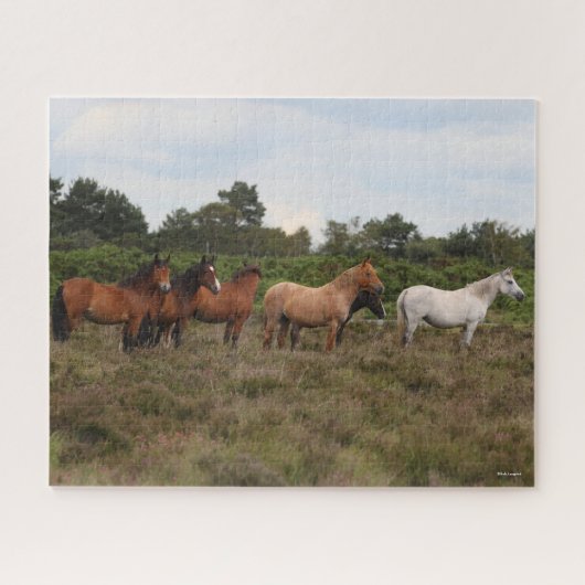 Puzzle Bob Langrish | Herd New Forest Poney debout (Horizontal)
