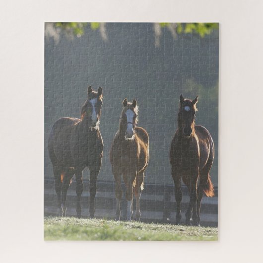 Puzzle Bob Langrish | Jeunes Chevaux Trois Quart (Vertical)