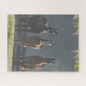 Puzzle Bob Langrish | Jeunes Chevaux Trois Quart (Horizontal)