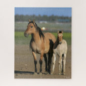 Puzzle Bob Langrish Kiger Mustang Mare et poulain debout (Vertical)