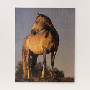 Puzzle Bob Langrish   Les Arabes debout Sur La Colline Au
