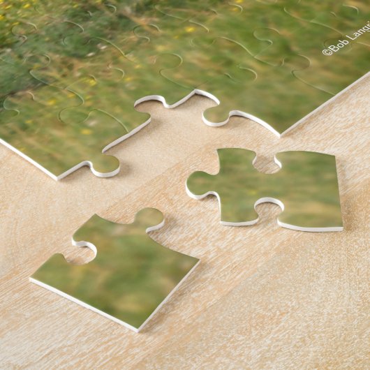Puzzle Bob Langrish | L'étalon arabe châtaigner en marche (Côté)