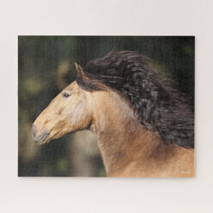 Puzzle Bob Langrish   Lusitano Capture d'écran Mane Flow