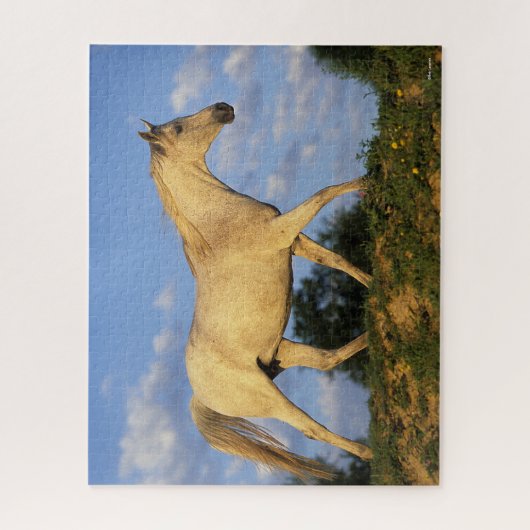 Puzzle Bob Langrish | Marche arabe grise (Vertical)