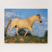 Puzzle Bob Langrish | Marche arabe grise (Horizontal)