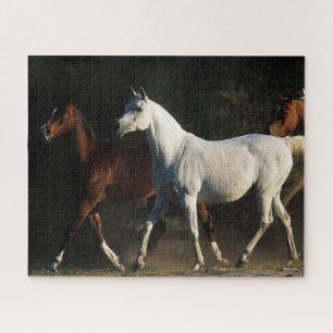 Puzzle Bob Langrish   Marche des Mares Arabes