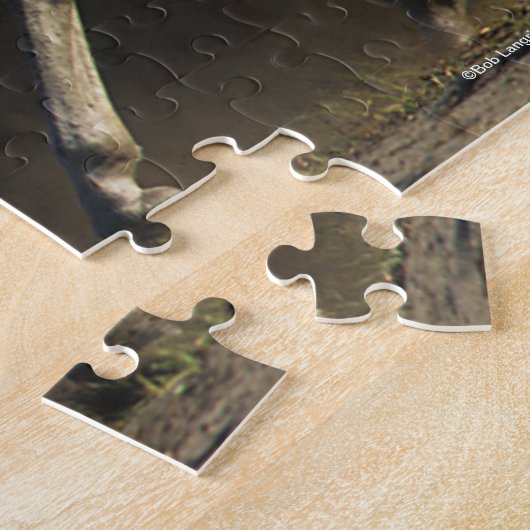 Puzzle Bob Langrish | Marche des Mares Arabes (Côté)