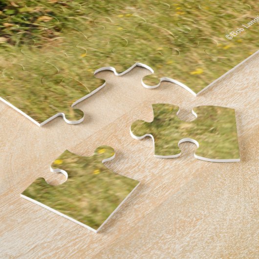 Puzzle Bob Langrish | Mare de sang chaud et marche du pou (Côté)