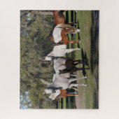 Puzzle Bob Langrish | Mares et poulains arabes debout (Vertical)