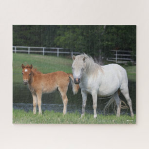 Puzzle Bob Langrish Miniature Pony Mare et Foie debout