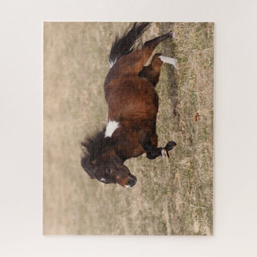 Puzzle Bob Langrish | Miniature Pony Running Fast (Vertical)