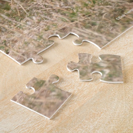 Puzzle Bob Langrish | Miniature Pony Running Fast (Côté)