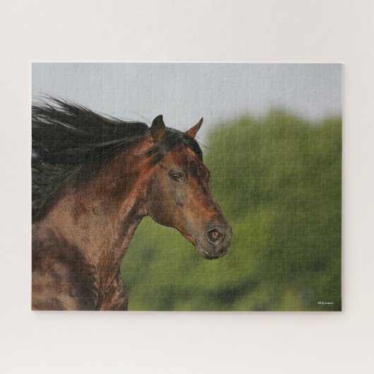 Puzzle Bob Langrish | Morgan Horse Capsule Flower Mane (Horizontal)