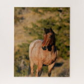 Puzzle Bob Langrish | Mustang Horse Standing (Vertical)