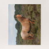Puzzle Bob Langrish | Nouveau poney forestier debout dans (Vertical)