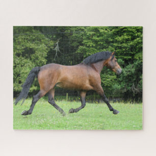 Puzzle Bob Langrish Nouveau Stallion du ponton forestie