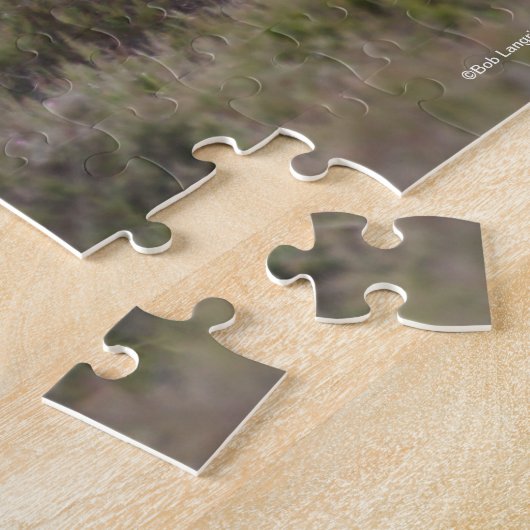 Puzzle Bob Langrish | Nouveaux poneys forestiers et poula (Côté)