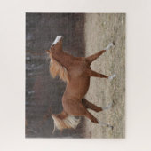 Puzzle Bob Langrish | Overo Paint Horse Running (Vertical)