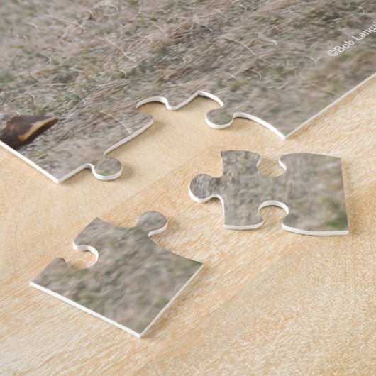 Puzzle Bob Langrish | Overo Paint Horse Running (Côté)