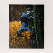 Puzzle Bob Langrish | Paint Horse Runn Automne (Vertical)