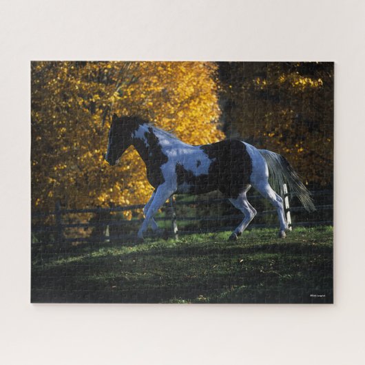 Puzzle Bob Langrish | Paint Horse Runn Automne (Horizontal)