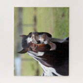 Puzzle Bob Langrish | Paint Horse Stallion Flehmen (Vertical)