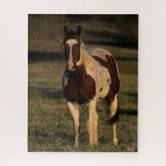 Puzzle Bob Langrish | Paint Horse Standing (Vertical)