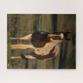 Puzzle Bob Langrish | Paint Horse Standing (Horizontal)