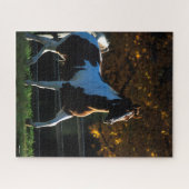 Puzzle Bob Langrish | Paint Horse Walking Backlight Autom (Horizontal)