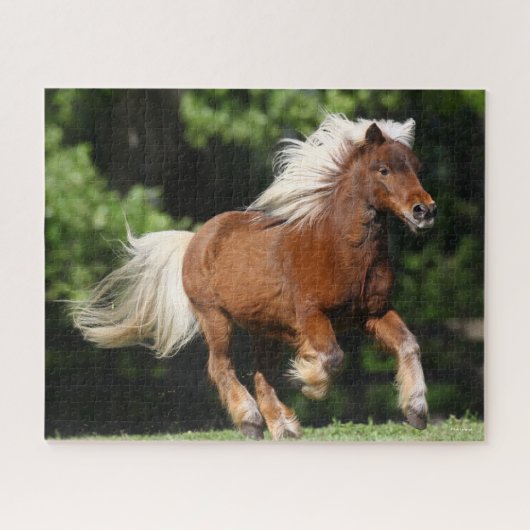 Puzzle Bob Langrish | Palomino Miniature Pony Running (Horizontal)
