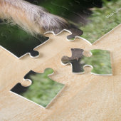 Puzzle Bob Langrish | Palomino Miniature Pony Running (Côté)