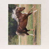 Puzzle Bob Langrish | Palomino Morgan Horse Bucking (Vertical)