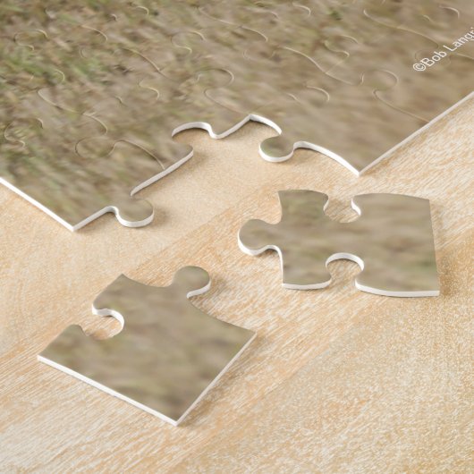 Puzzle Bob Langrish | Palomino Quarter Cheval Courir (Côté)