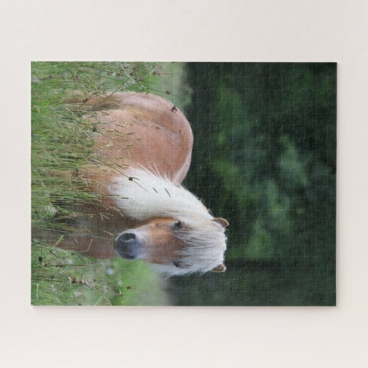 Puzzle Bob Langrish | Palomino Shetland Debout Dans L'Her (Horizontal)