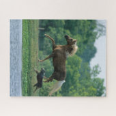 Puzzle Bob Langrish | Palomino Tennessee Walker and Dog (Horizontal)