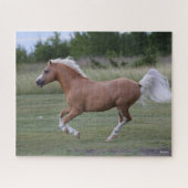 Puzzle Bob Langrish | Palomino Welsh Pony Running (Horizontal)