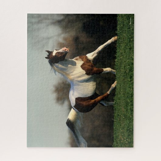 Puzzle Bob Langrish | Pinto Arab Mane and Tail Flower (Vertical)