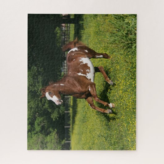 Puzzle Bob Langrish | Pinto Oldenburg Courir en fleurs (Vertical)