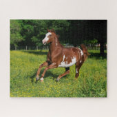 Puzzle Bob Langrish | Pinto Oldenburg Courir en fleurs (Horizontal)