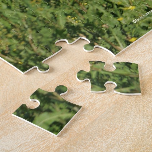 Puzzle Bob Langrish | Pinto Oldenburg Courir en fleurs (Côté)