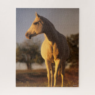 Puzzle Bob Langrish   Poignée arabe grise