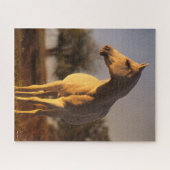 Puzzle Bob Langrish | Poignée arabe grise (Horizontal)