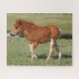 Puzzle Bob Langrish   Promenade miniature de pouls