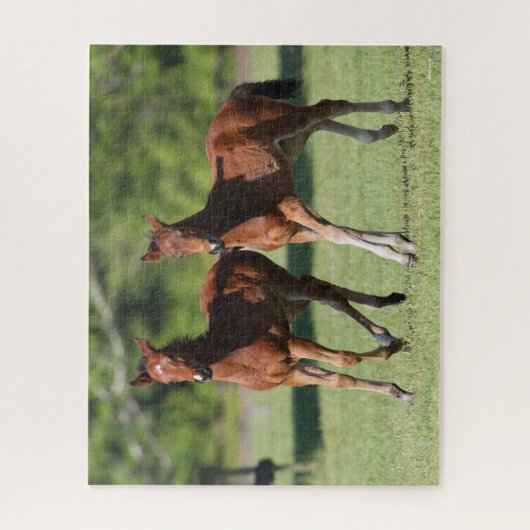 Puzzle Bob Langrish | Quart de chevaux Foals Together (Vertical)