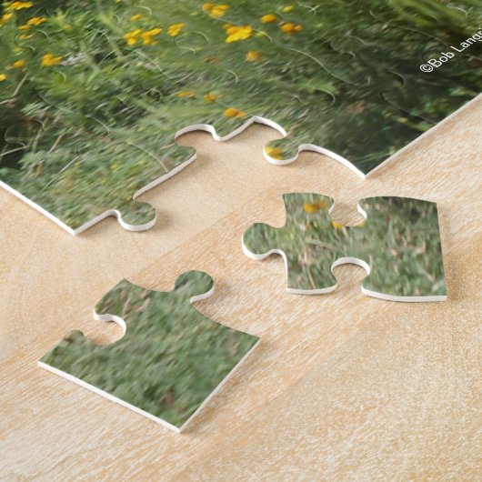 Puzzle Bob Langrish | Quart Horse Foal Running (Côté)