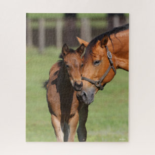 Puzzle Bob Langrish Quarter Cheval Mare et Foal Cuddin