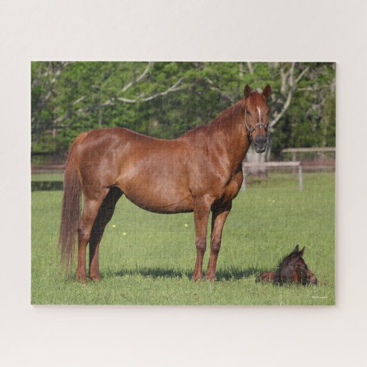 Puzzle Bob Langrish Quarter Cheval Mare et poulain debout (Horizontal)
