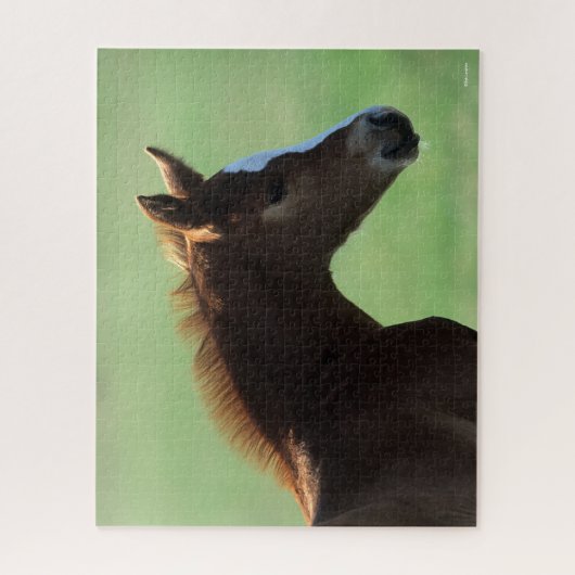 Puzzle Bob Langrish | Quartier Cheval Foie rétroéclairé (Vertical)